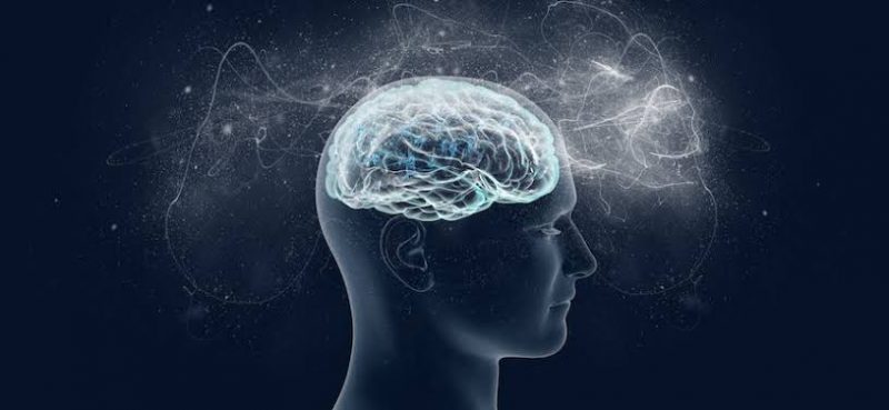 Memanfaatkan Internet Untuk Membantu Meningkatkan Kecerdasan Otak