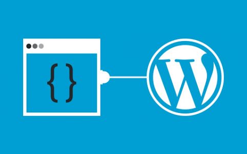 Mengenal Macam Plugin WordPress Berdasarkan Fungsinya Secara Umum